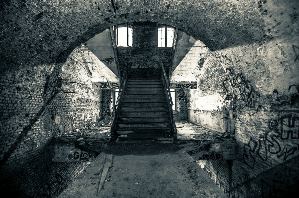 Trap ZW